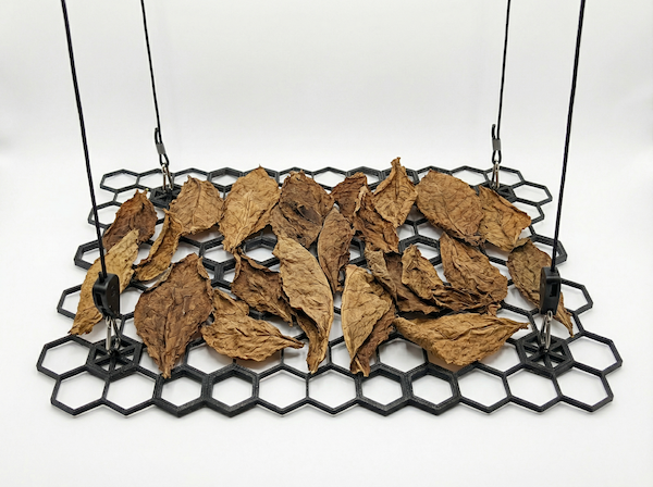HEX-GROW-SCROG-TABACCO