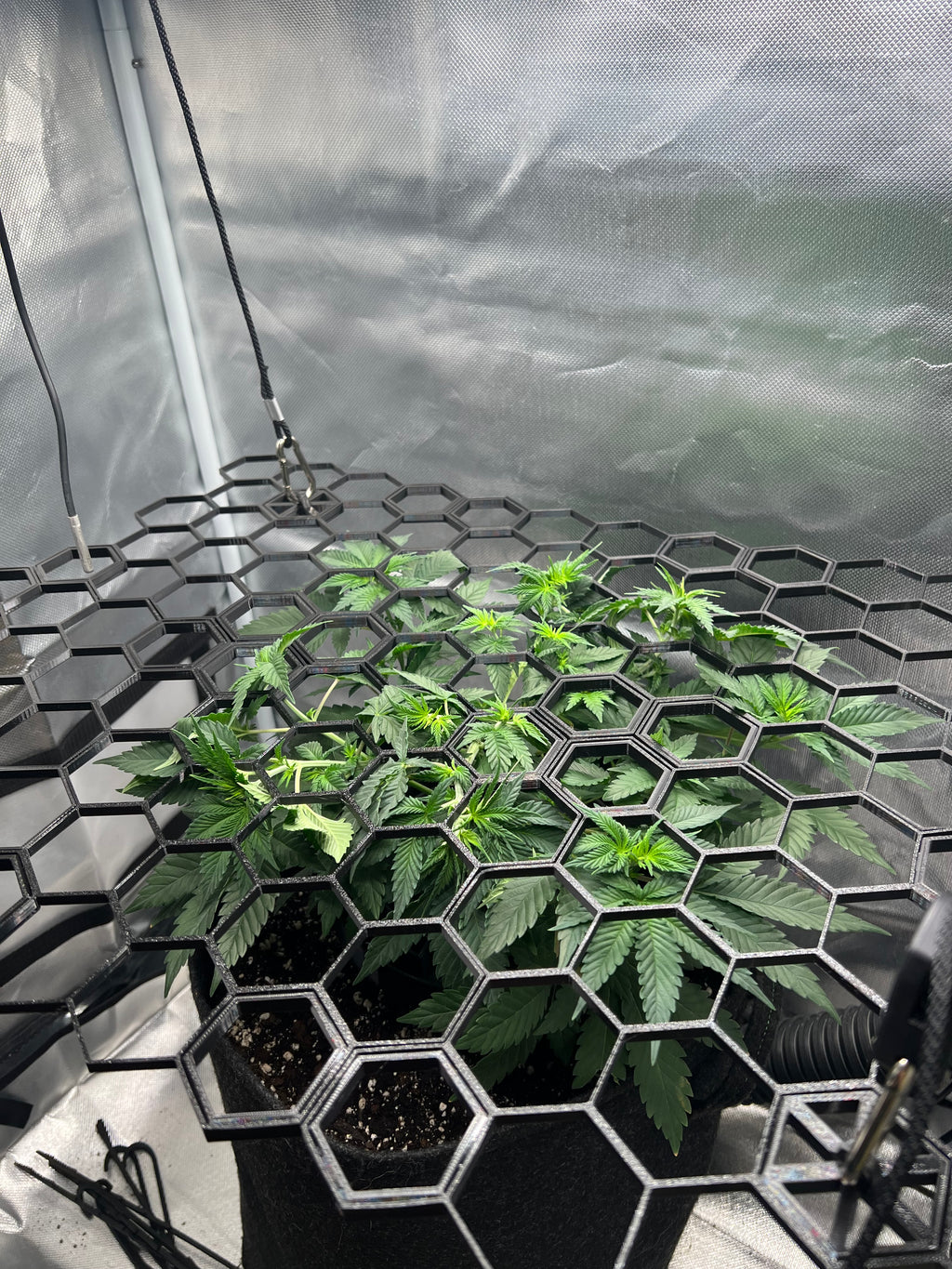 HEX-GROW SCROG Netz Set – 120x60 cm | Modulares Hexagon-Netz aus PETG